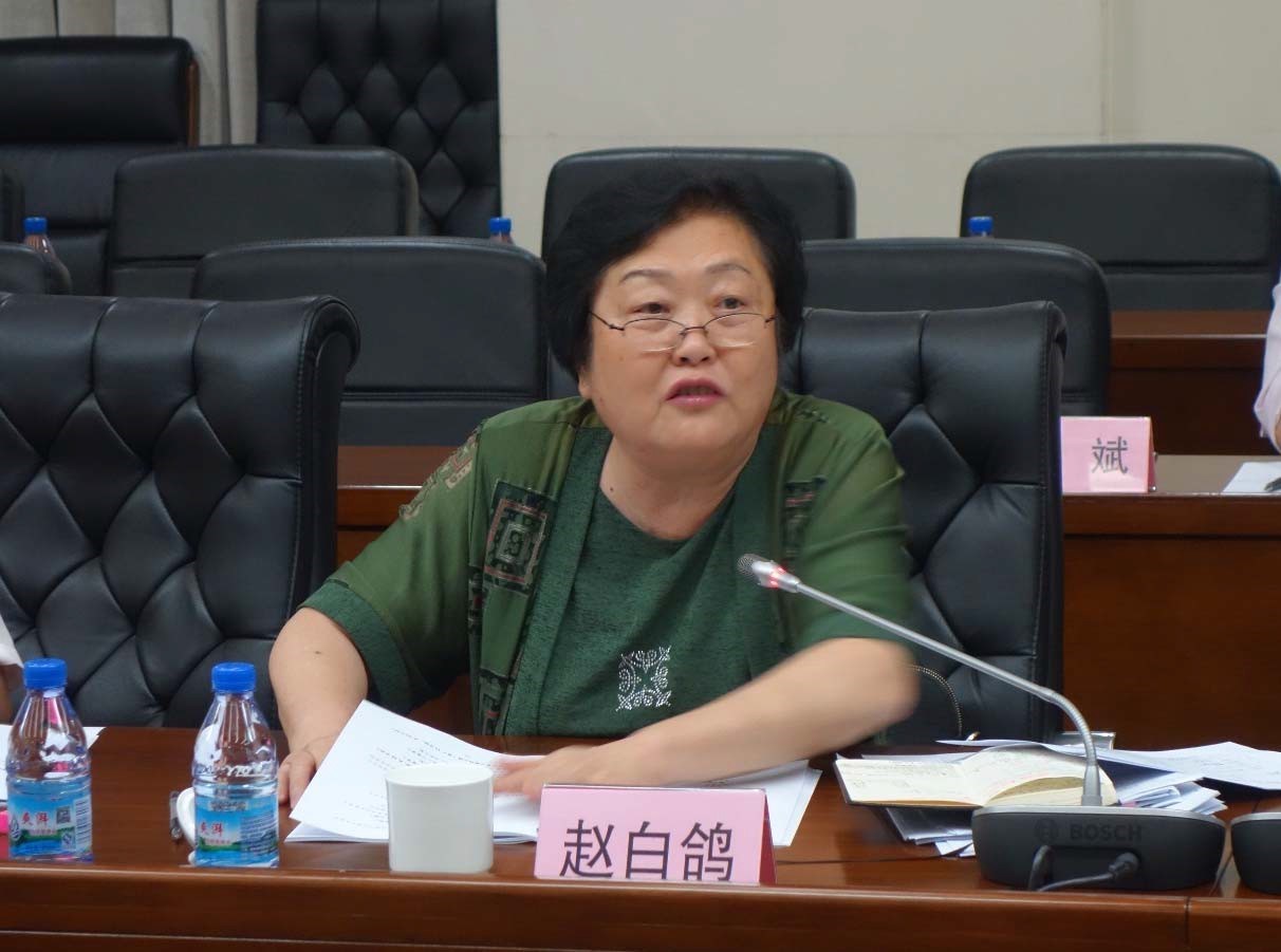 赵白鸽主任指导论坛筹备工作.jpg