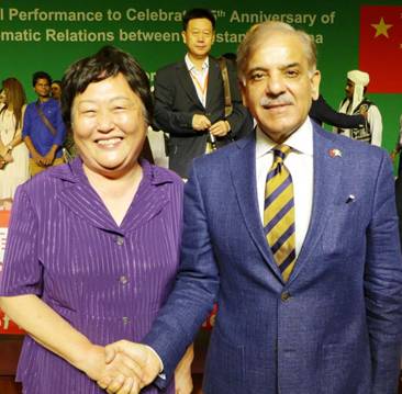 蓝迪国际智库应邀参加中巴建交65周年文艺晚会
